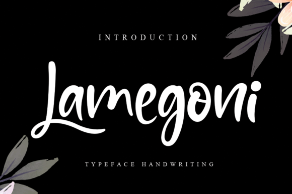 Lamegoni: A Font for Digital Design