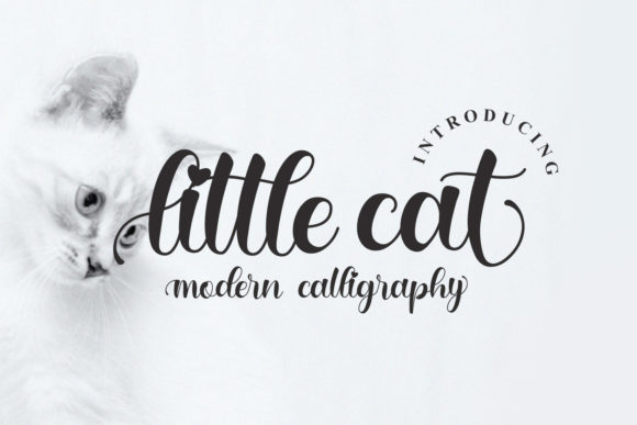 Little Cat: A Delicate Script Font