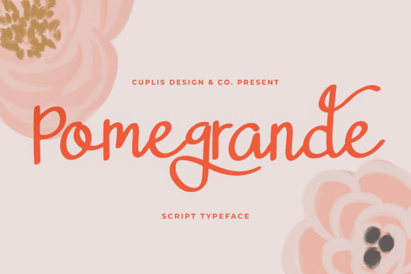 Pomegrande Font Review