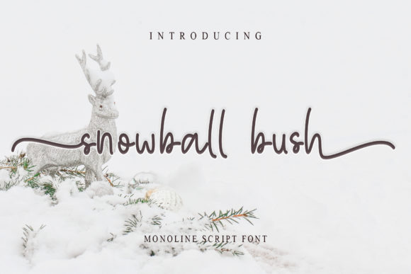 Snowball Bush Review