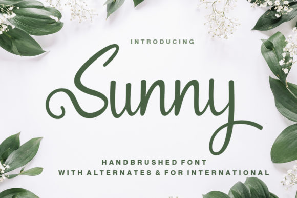 Sunny: A Beautiful Script Font for Crafters