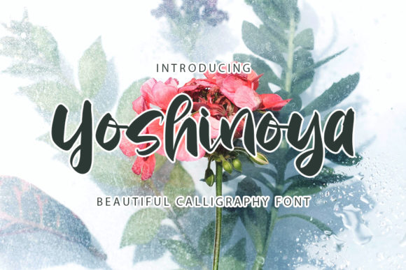 Yoshinoya Font Review